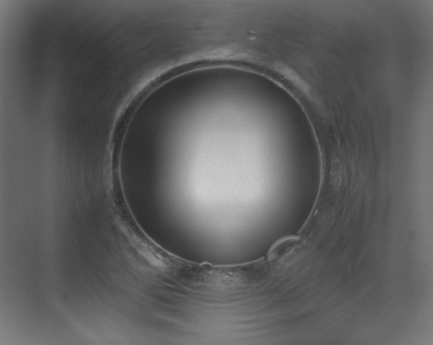 X0000074971270200609011206