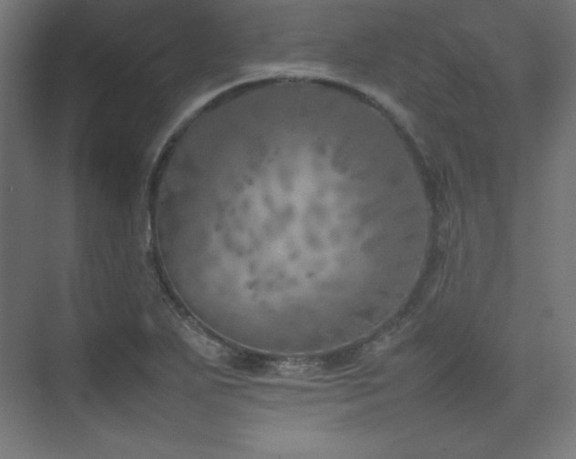 X0000074971271200609011206