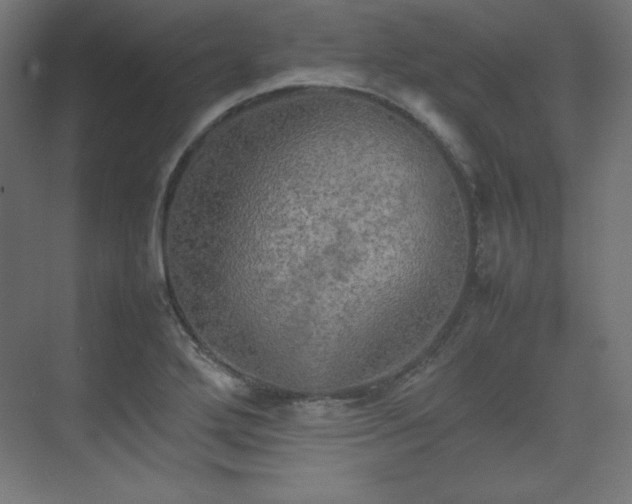 X0000074971272200609011206