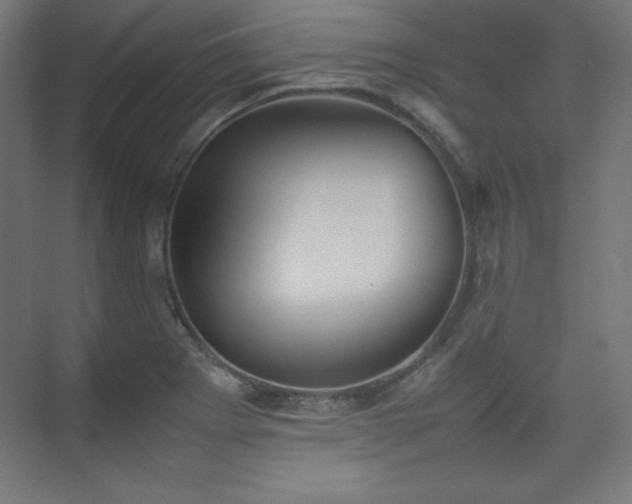 X0000074971273200609011206