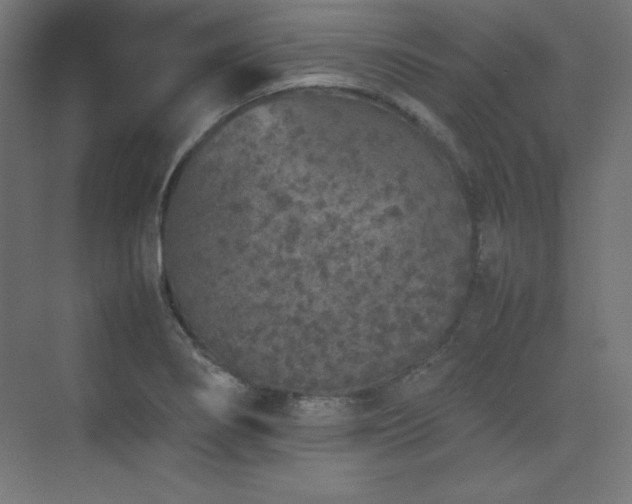 X0000074971274200609011206