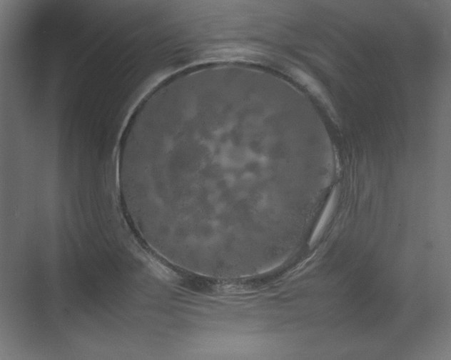 X0000074971275200609011206