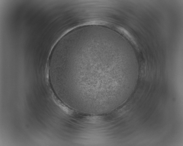 X0000074971276200609011206