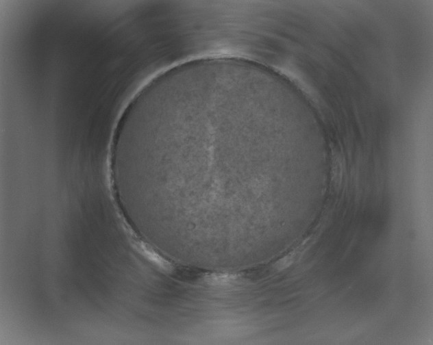 X0000074971278200609011206