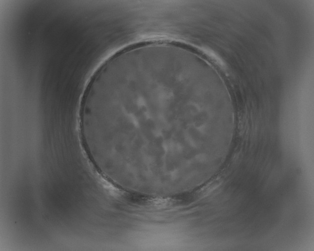 X0000074971279200609011206