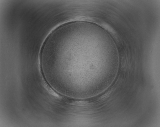 X0000074971280200609011206