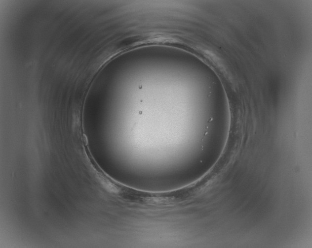 X0000074971281200609011206