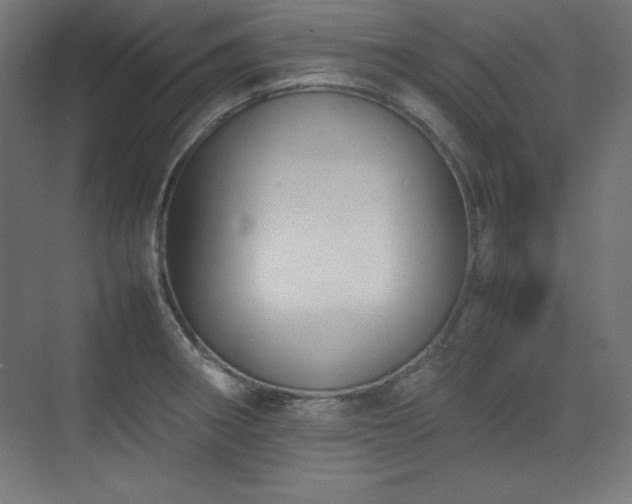 X0000074971282200609011206