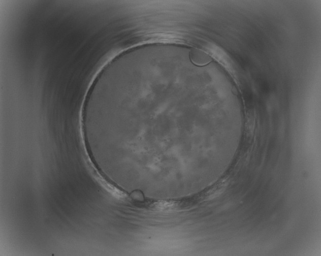 X0000074971283200609011206