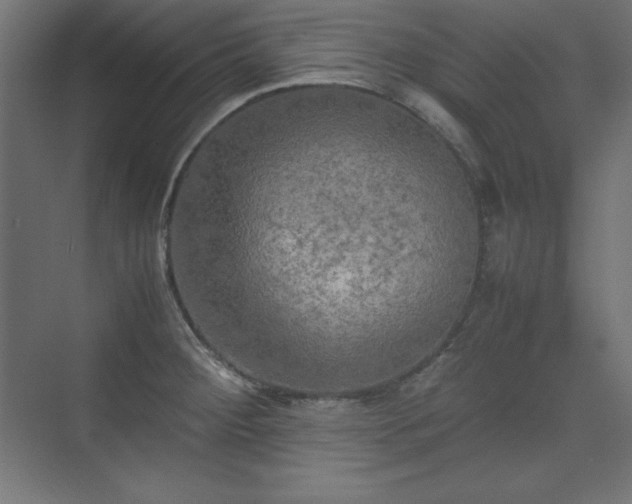 X0000074971284200609011206