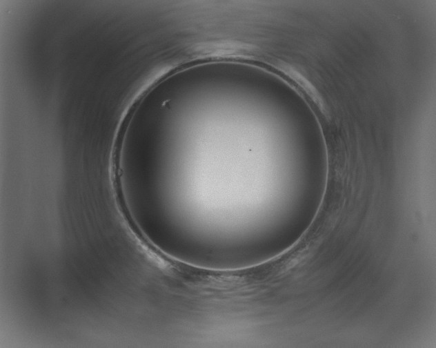 X0000074971285200609011206