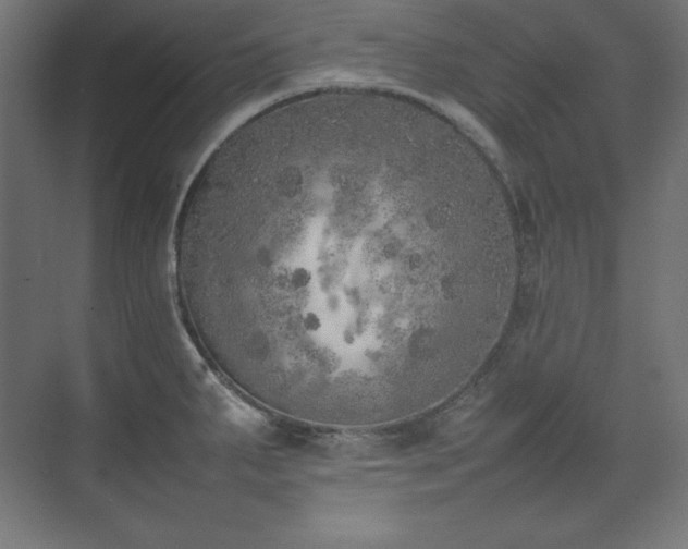 X0000074971287200609011206