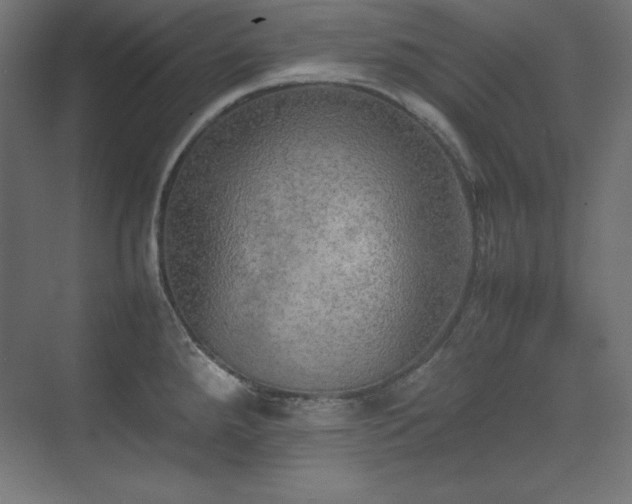 X0000074971288200609011206