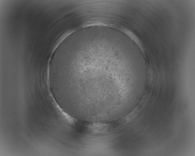 X0000074971290200609011206