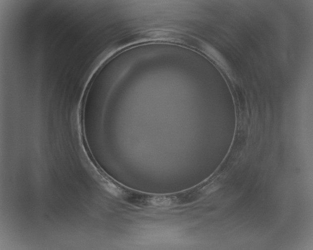 X0000074971291200609011206