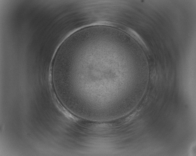 X0000074971292200609011206