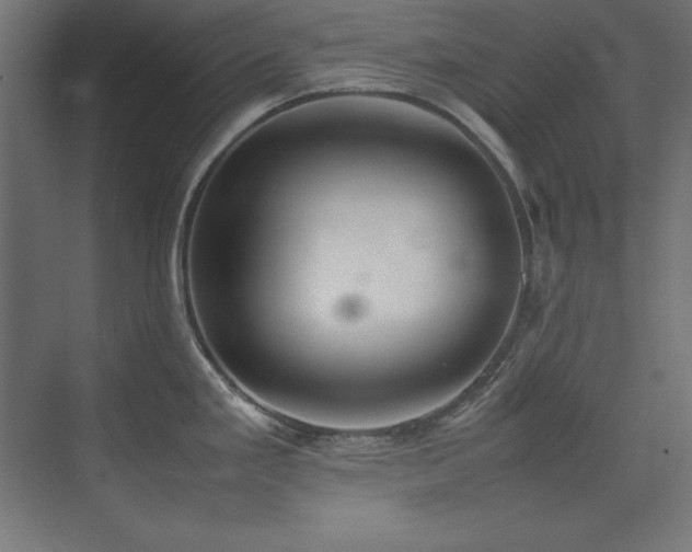 X0000074971293200609011206