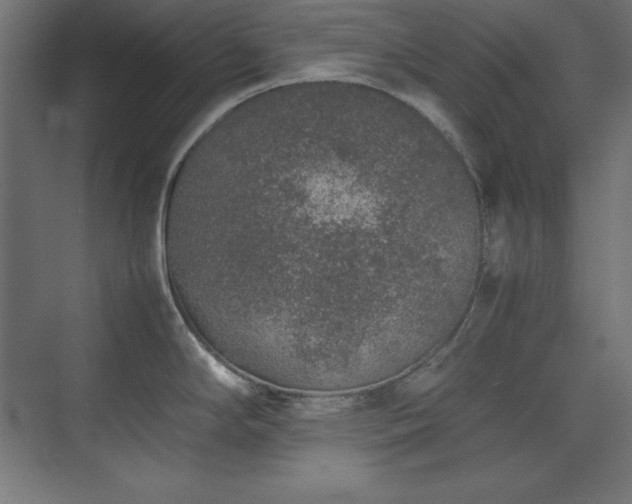 X0000074971294200609011206