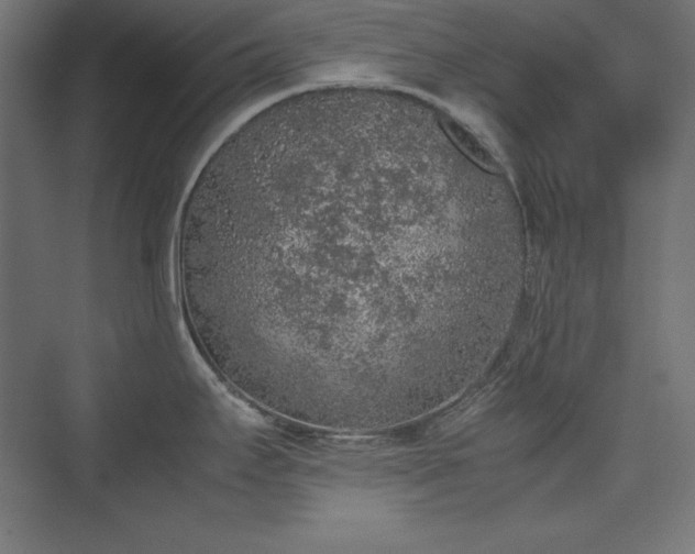 X0000074971295200609011206