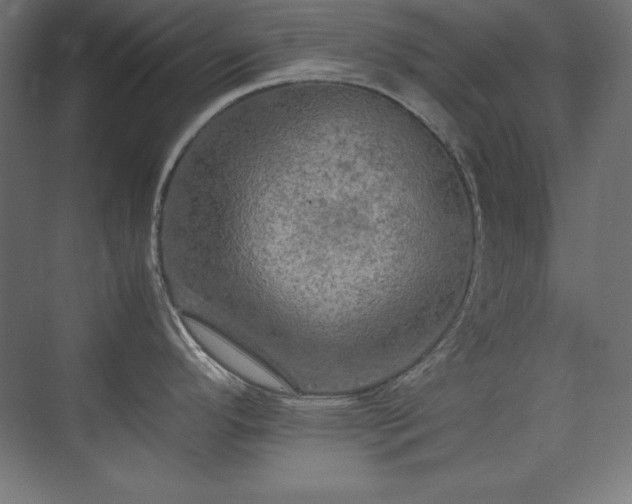 X0000074971296200609011206