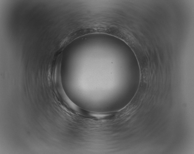 X0000074971298200609011205