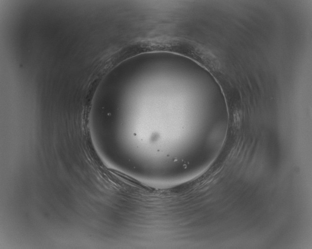 X0000074971300200609011205