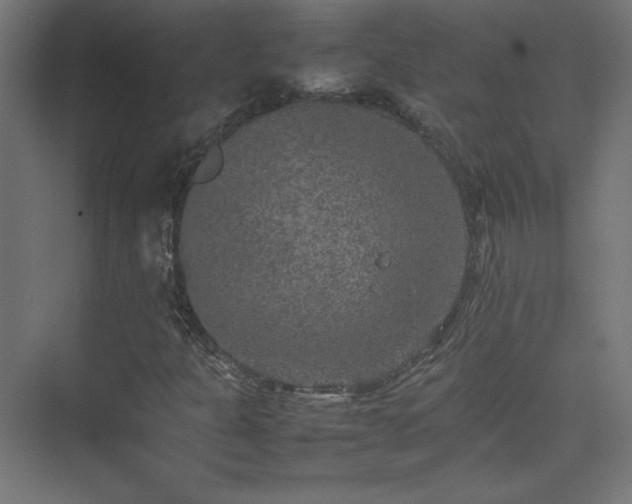 X0000074971301200609011205