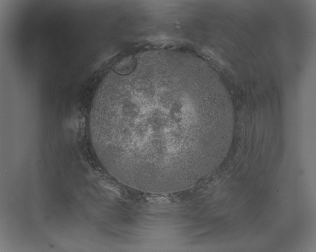 X0000074971302200609011205