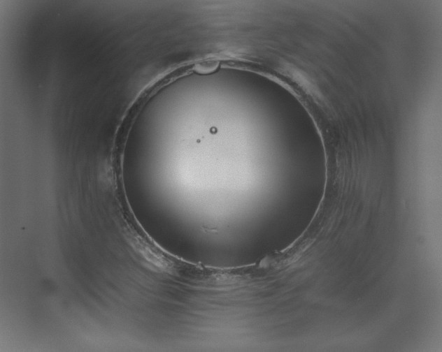 X0000074971308200609011205