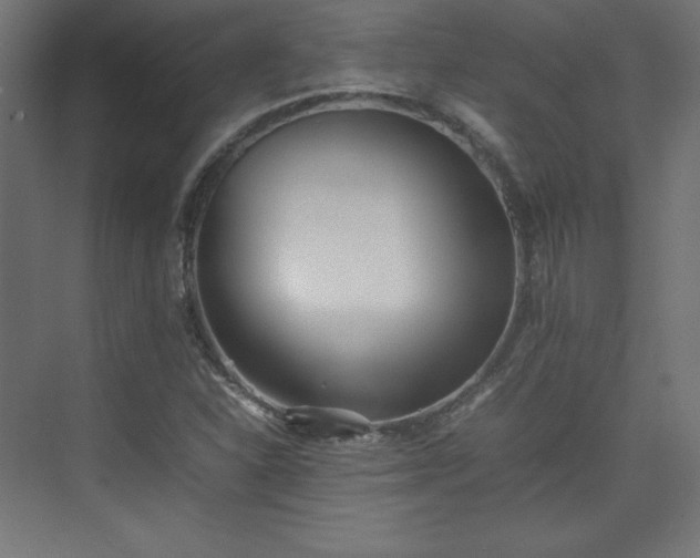 X0000074971310200609011205