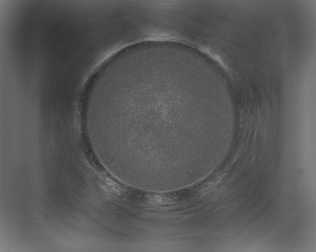 X0000074971311200609011205