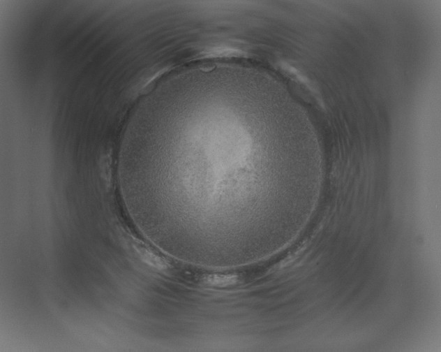 X0000074971313200609011205