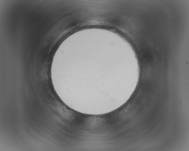 X0000074971314200609011205