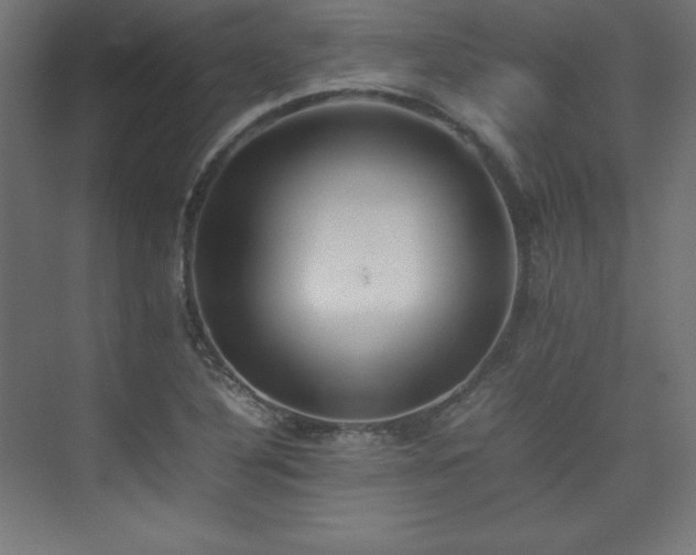 X0000074971316200609011205