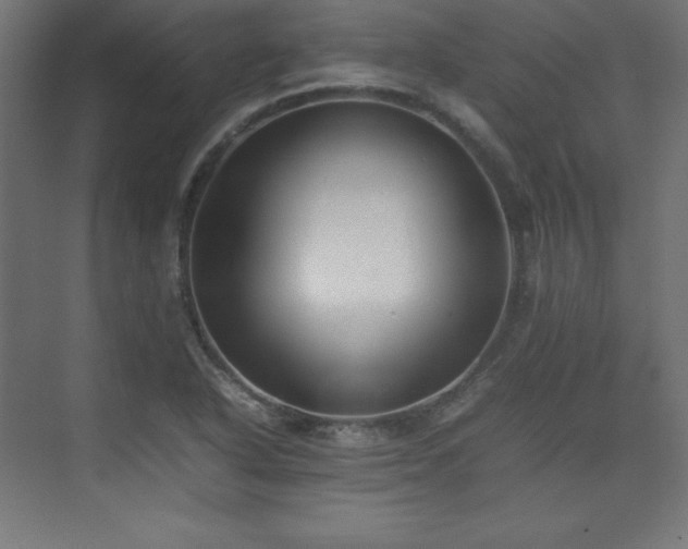 X0000074971318200609011205