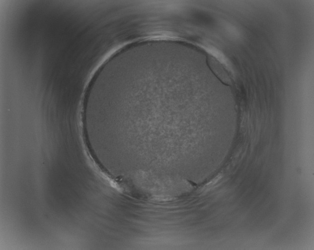 X0000074971325200609011206