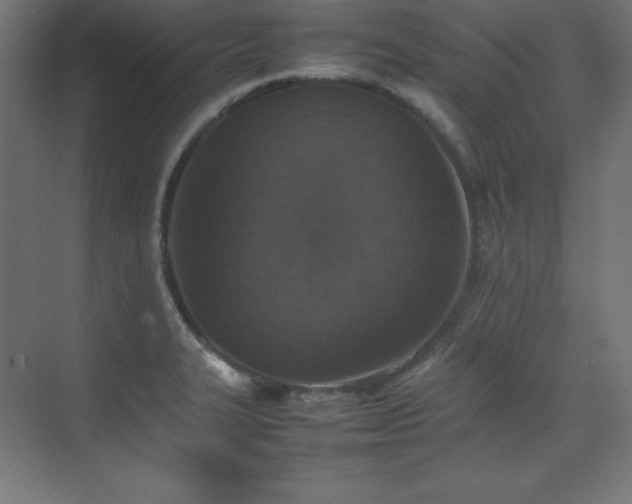 X0000074971327200609011206