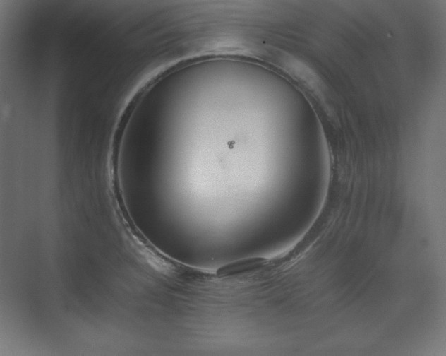 X0000074971328200609011206