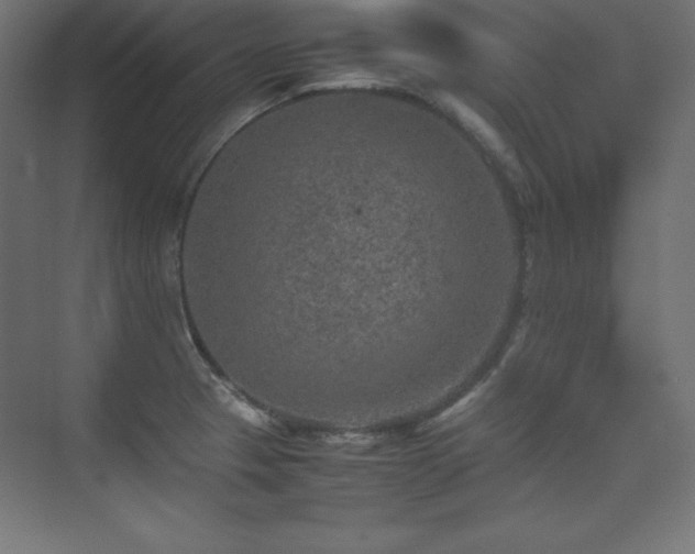 X0000074971329200609011206