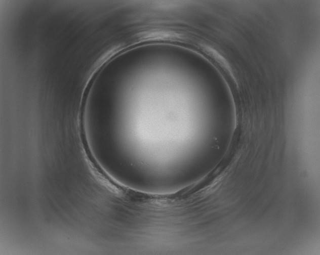 X0000074971330200609011206