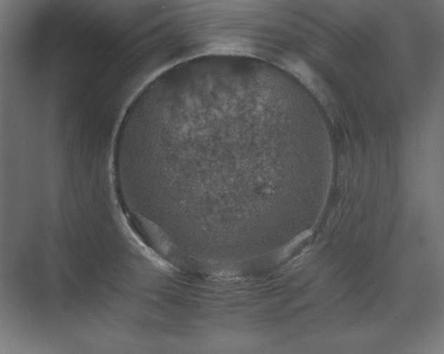 X0000074971331200609011206