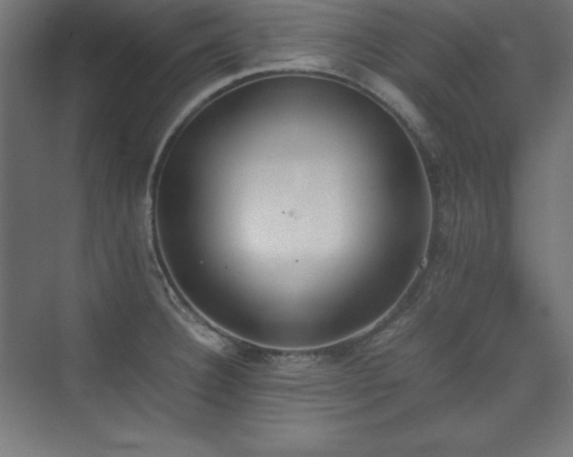 X0000074971332200609011206