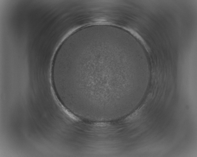 X0000074971333200609011206