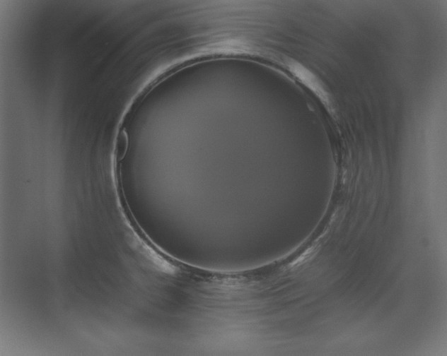 X0000074971334200609011206