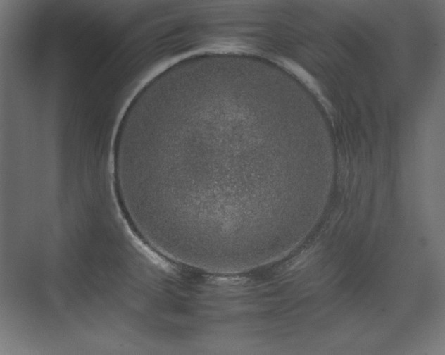 X0000074971335200609011206