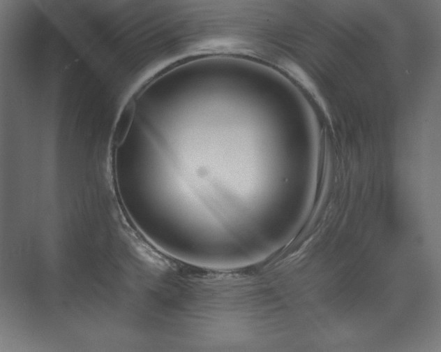 X0000074971336200609011206