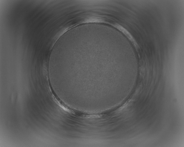 X0000074971337200609011206