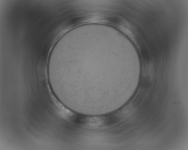 X0000074971338200609011206