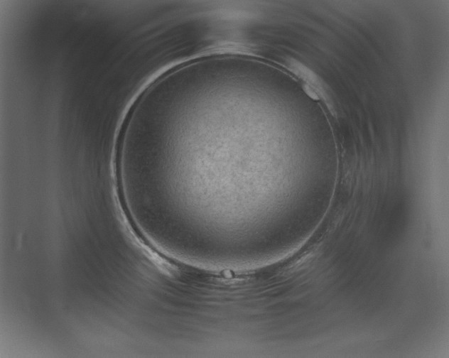 X0000074971339200609011206