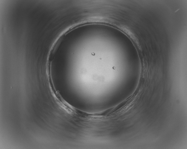 X0000074971342200609011206